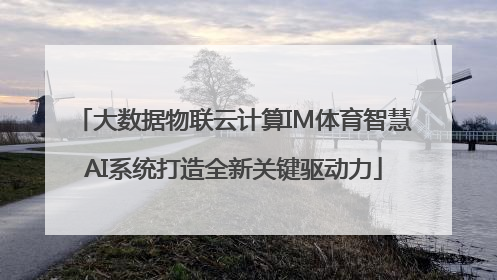 大数据物联云计算IM体育智慧AI系统打造全新关键驱动力