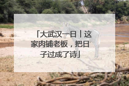 大武汉一日︱这家肉铺老板，把日子过成了诗