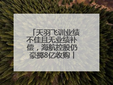 天羽飞训业绩不佳且无业绩补偿，海航控股仍豪掷8亿收购丨一周市场观察