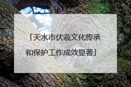天水市伏羲文化传承和保护工作成效显著