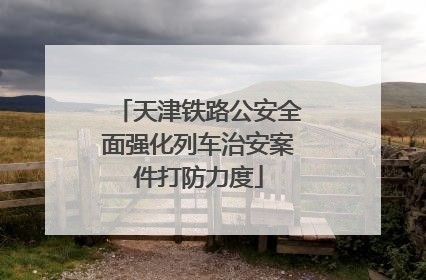 天津铁路公安全面强化列车治安案件打防力度