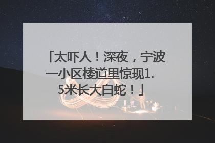 太吓人！深夜，宁波一小区楼道里惊现1.5米长大白蛇！