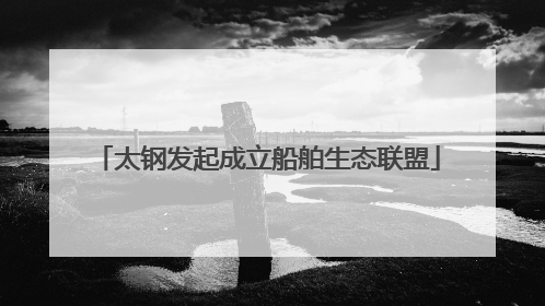 太钢发起成立船舶生态联盟