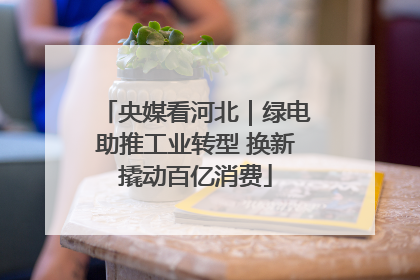 央媒看河北｜绿电助推工业转型 换新撬动百亿消费