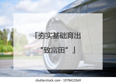 夯实基础育出“致富田”