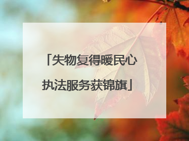 失物复得暖民心 执法服务获锦旗