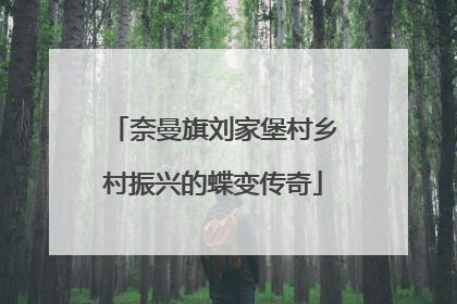 奈曼旗刘家堡村乡村振兴的蝶变传奇