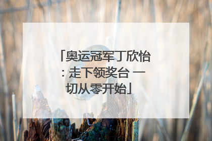 奥运冠军丁欣怡：走下领奖台 一切从零开始