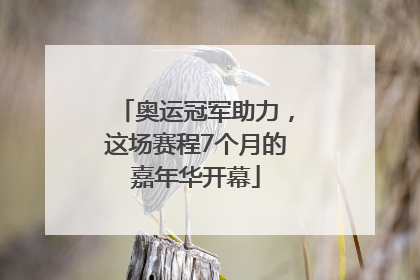 奥运冠军助力，这场赛程7个月的嘉年华开幕
