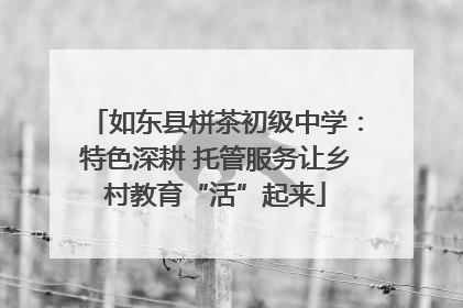 如东县栟茶初级中学：特色深耕 托管服务让乡村教育“活”起来