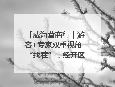 威海营商行｜游客+专家双重视角“找茬”，经开区文旅市场开展暑期前“体检”