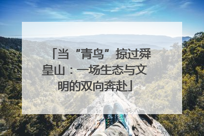 当“青鸟”掠过舜皇山：一场生态与文明的双向奔赴