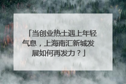 当创业热土遇上年轻气息，上海南汇新城发展如何再发力？