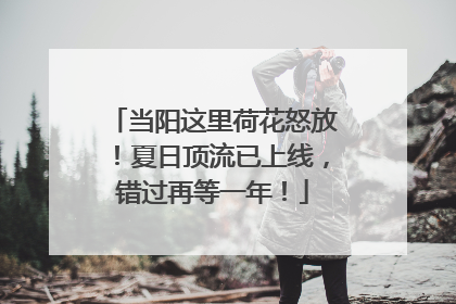 当阳这里荷花怒放！夏日顶流已上线，错过再等一年！