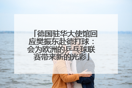 德国驻华大使馆回应樊振东赴德打球：会为欧洲的乒乓球联赛带来新的光彩