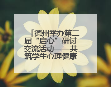 德州举办第二届“启心”研讨交流活动——共筑学生心理健康防护网