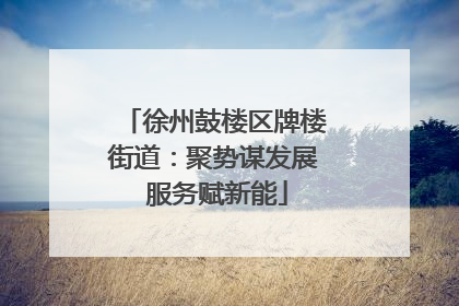 徐州鼓楼区牌楼街道：聚势谋发展 服务赋新能