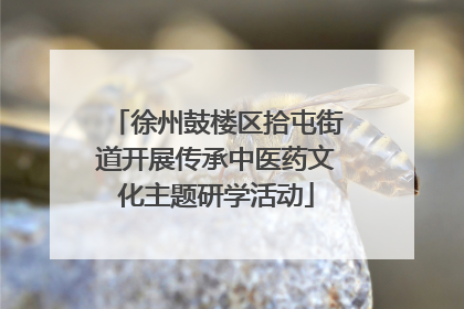 徐州鼓楼区拾屯街道开展传承中医药文化主题研学活动