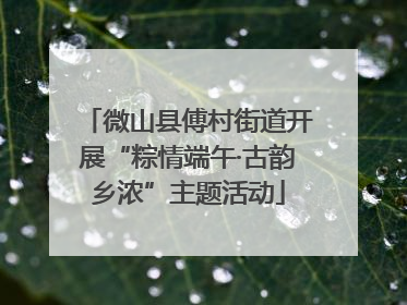 微山县傅村街道开展“粽情端午·古韵乡浓”主题活动