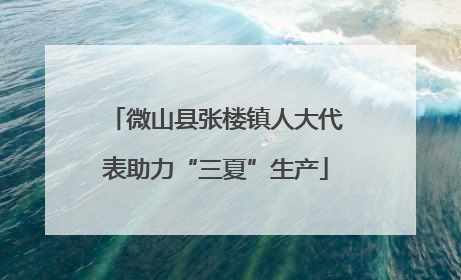 微山县张楼镇人大代表助力“三夏”生产