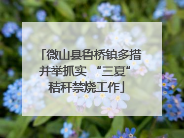 微山县鲁桥镇多措并举抓实 “三夏” 秸秆禁烧工作