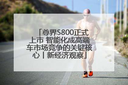 尊界S800正式上市 智能化成高端车市场竞争的关键核心丨新经济观察