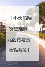 小伙咳喘发热难愈 元凶竟与宠物猫有关