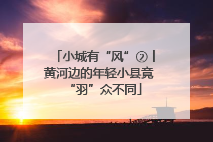小城有“风”②丨黄河边的年轻小县竟“羽”众不同