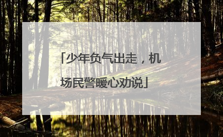少年负气出走，机场民警暖心劝说