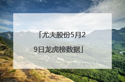 尤夫股份5月29日龙虎榜数据