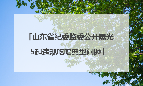 山东省纪委监委公开曝光5起违规吃喝典型问题