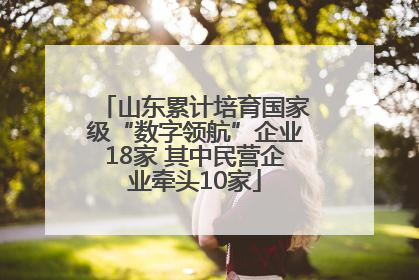 山东累计培育国家级“数字领航”企业18家 其中民营企业牵头10家