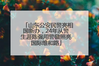 山东公安民警亮相国新办，24年从警生涯陈强用警徽照亮国际维和路
