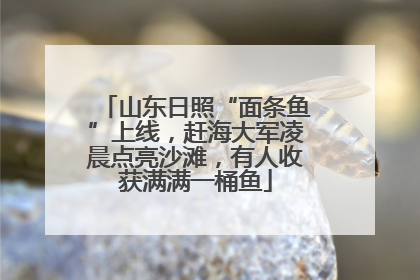 山东日照“面条鱼”上线，赶海大军凌晨点亮沙滩，有人收获满满一桶鱼