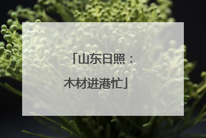 山东日照：木材进港忙