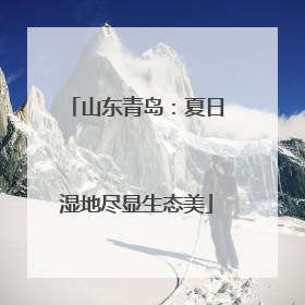 山东青岛：夏日湿地尽显生态美