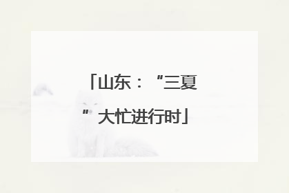 山东：“三夏”大忙进行时