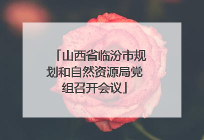 山西省临汾市规划和自然资源局党组召开会议