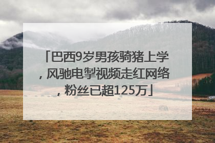 巴西9岁男孩骑猪上学，风驰电掣视频走红网络，粉丝已超125万