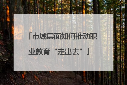 市域层面如何推动职业教育“走出去”