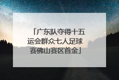 广东队夺得十五运会群众七人足球赛佛山赛区首金