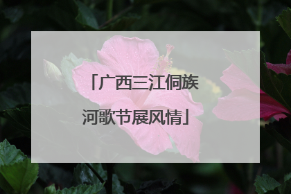 广西三江侗族河歌节展风情