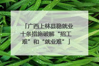 广西上林县稳就业十条措施破解“招工难”和“就业难”