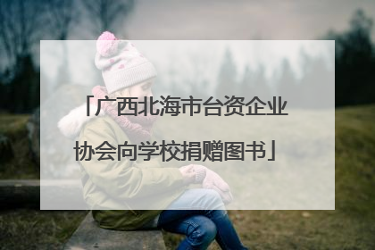 广西北海市台资企业协会向学校捐赠图书