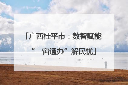 广西桂平市：数智赋能“一窗通办”解民忧