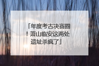年度考古决赛圈！萧山临安这两处遗址杀疯了