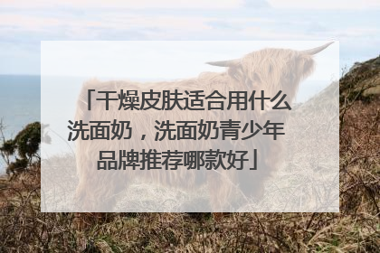 干燥皮肤适合用什么洗面奶，洗面奶青少年品牌推荐哪款好