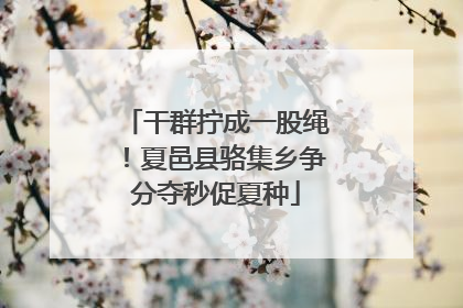 干群拧成一股绳！夏邑县骆集乡争分夺秒促夏种