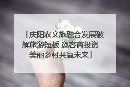 庆阳农文旅融合发展破解旅游短板 邀客商投资美丽乡村共赢未来