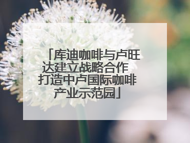 库迪咖啡与卢旺达建立战略合作 打造中卢国际咖啡产业示范园